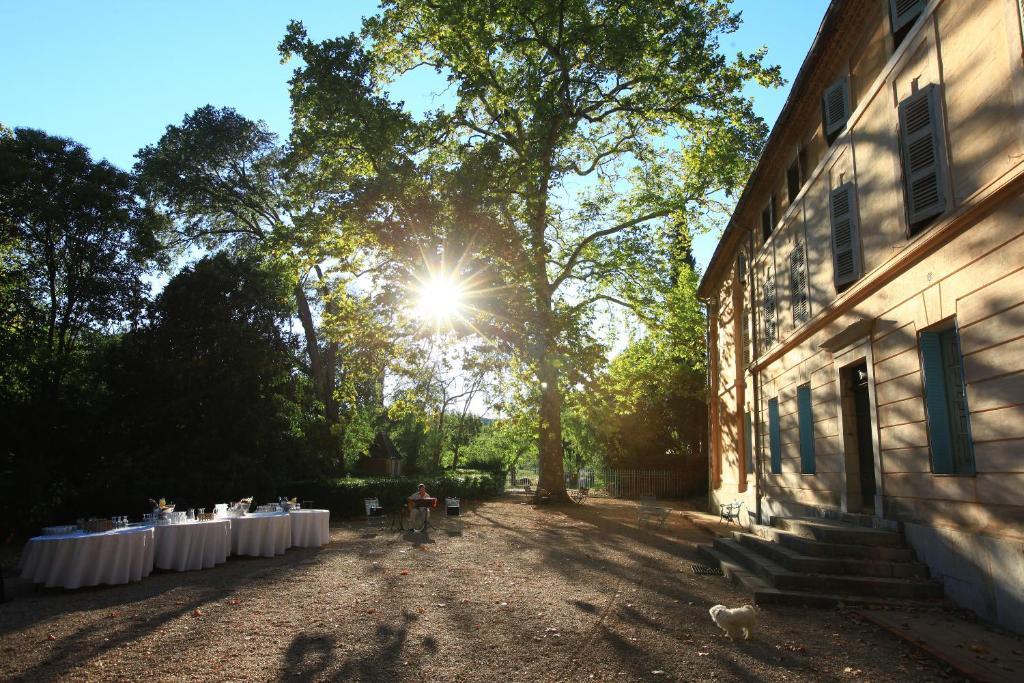 Chateau De Saint Martin Taradeau Zewnętrze zdjęcie